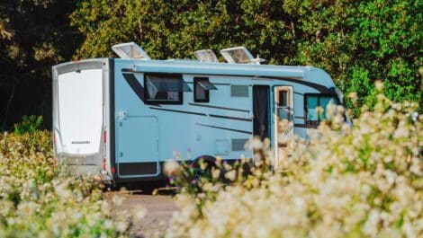 An RV sitting in a field of flowers