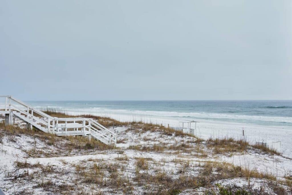 Palm trees and a lifeguard station on Clearwater Beach in Florida on a foggy day.