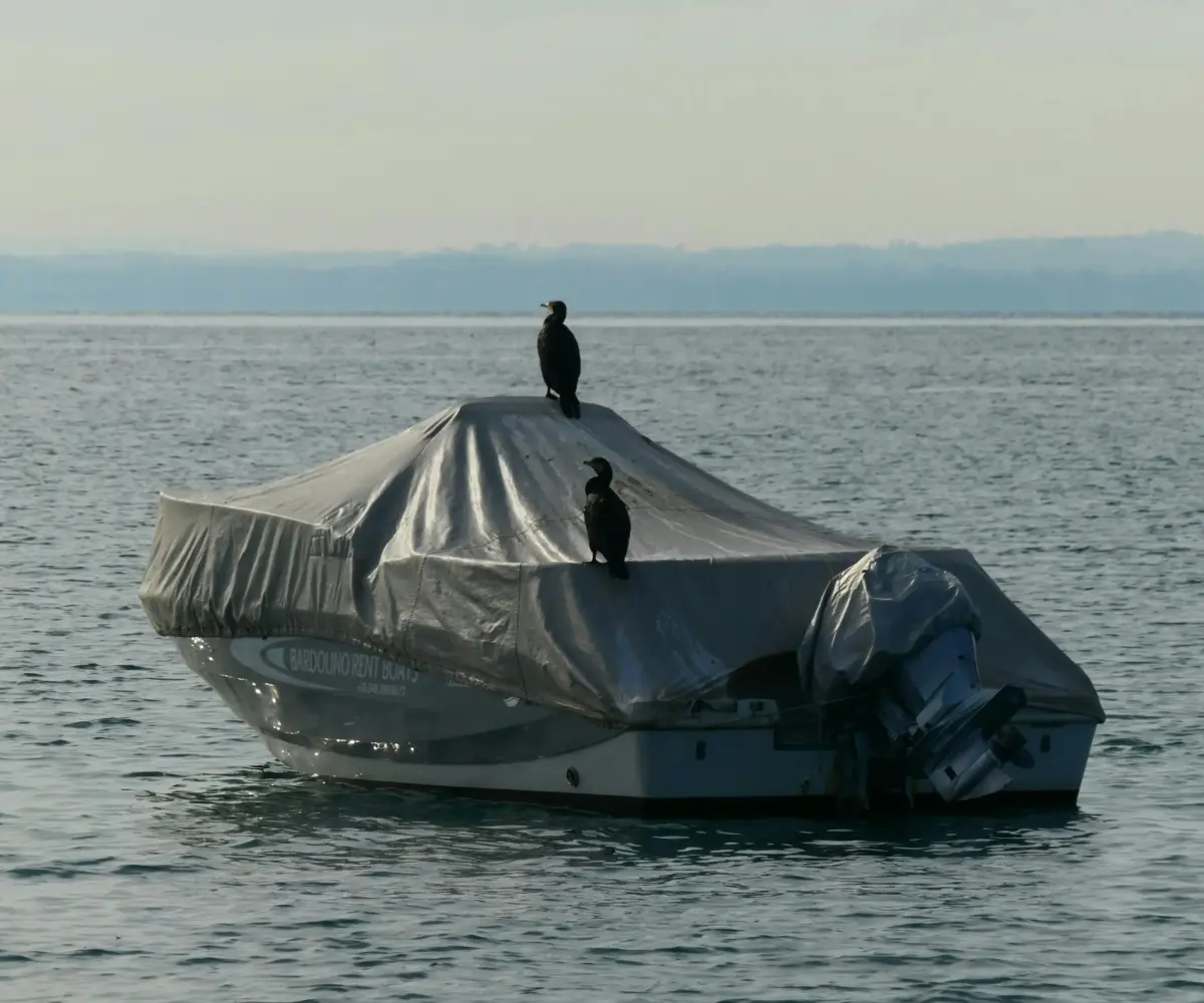 A small motorboat covered with a silver tarp floats on calm water.