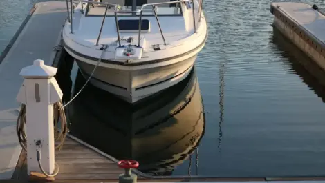 Front view of a white motorboat docked at a marina with calm water reflecting the boat’s hull.
