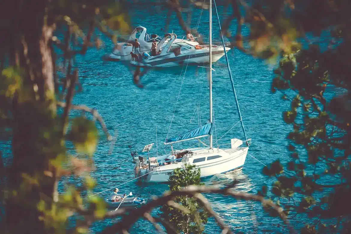 Two boats anchored on a serene blue lake, viewed through tree branches.