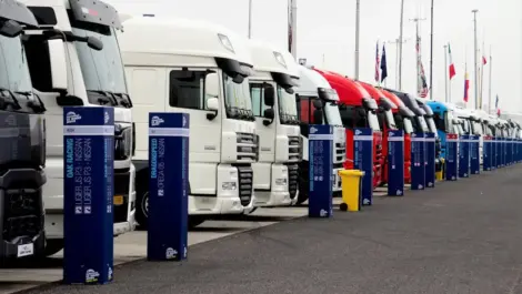 Trucks lined up in a designated truck parking zone.