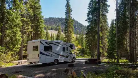 RV parked at a forest campsite with tall pine trees and mountains in the background.