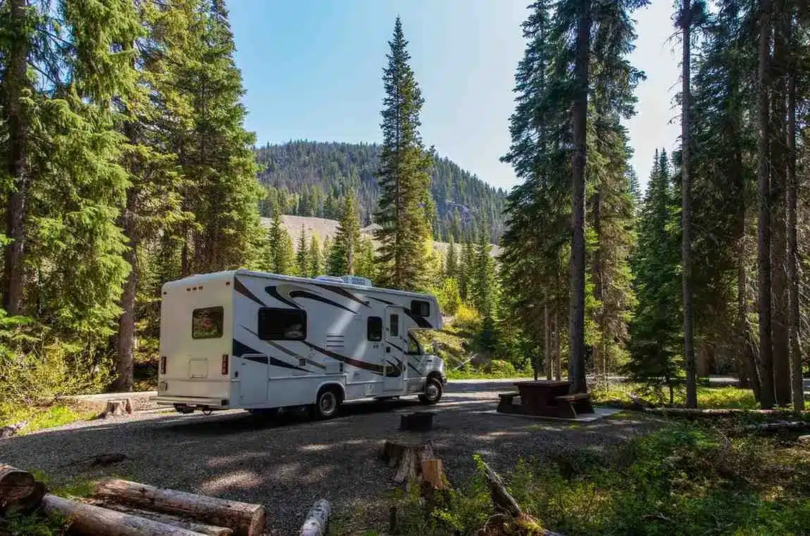 RV parked at a forest campsite with tall pine trees and mountains in the background.
