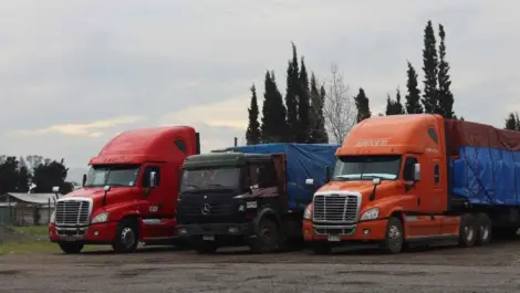 Semi trucks parked in a fleet parking lot.