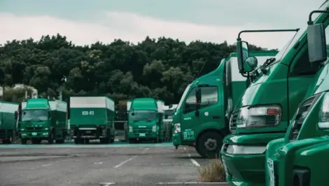 Green delivery trucks parked in a lot with trees in the background.