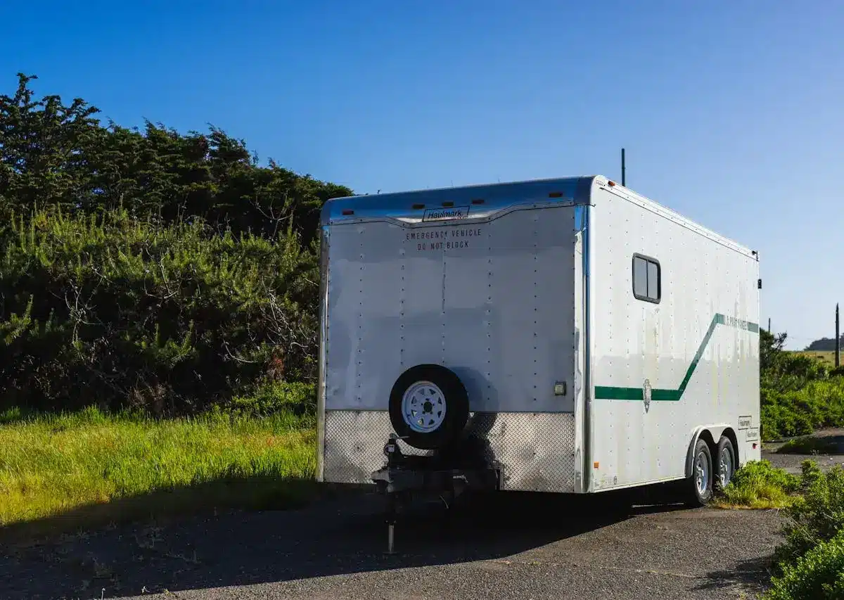 Enclosed utility trailer parked roadside near green brush.