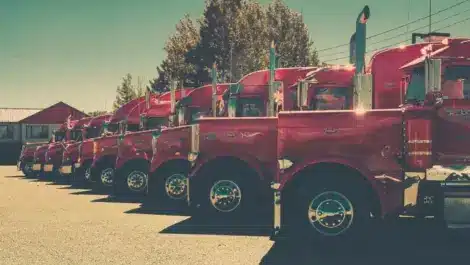 Row of red semi-trucks parked in a lot under clear sky.