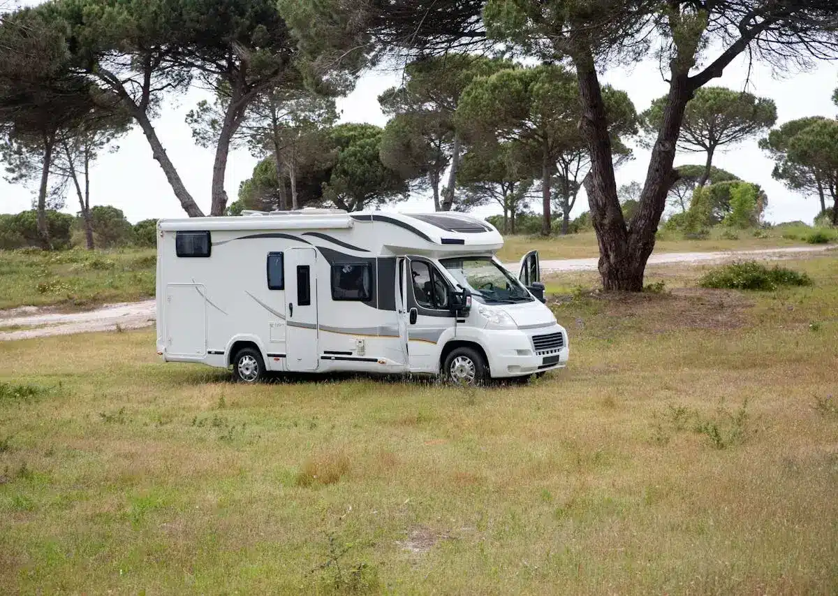 Motorhome parked in a grassy forest clearing.