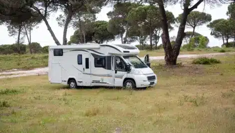 Motorhome parked in a grassy forest clearing.