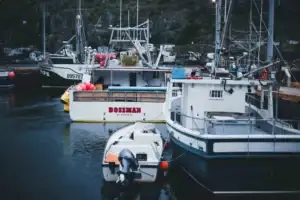Should You Store Your Boat With the Motor Up or Down?