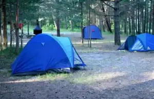 How to Find Cheap RV Park & Campground