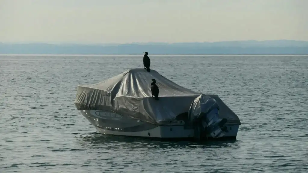 What are The Different Types of Boat Covers: Boat Cover Buying Guide