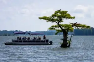 What Is the Easiest Boat to Maintain?