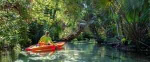 Best Campgrounds & Hiking Trails in Florida