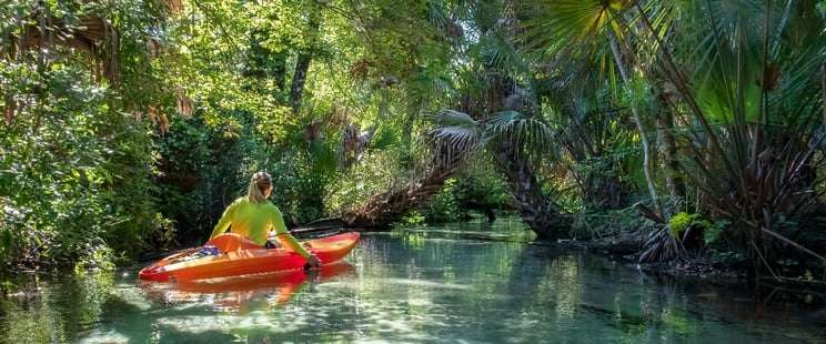 Best Campgrounds & Hiking Trails in Florida