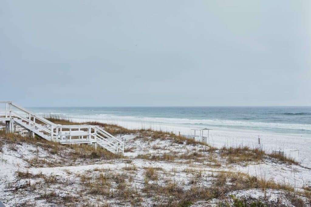 Palm trees and a lifeguard station on Clearwater Beach in Florida on a foggy day.