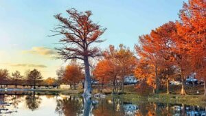 Fall Fishing: Where To Camp and Cast Your Line
