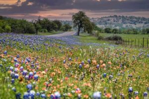 Exploring the Texas Hill Country: RV Destinations for Fall Festivals and Scenic Drives