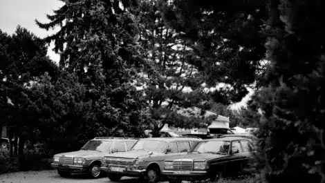 Classic cars parked together in outdoor vehicle storage lot.