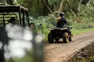 How To Transfer Ownership Of An ATV