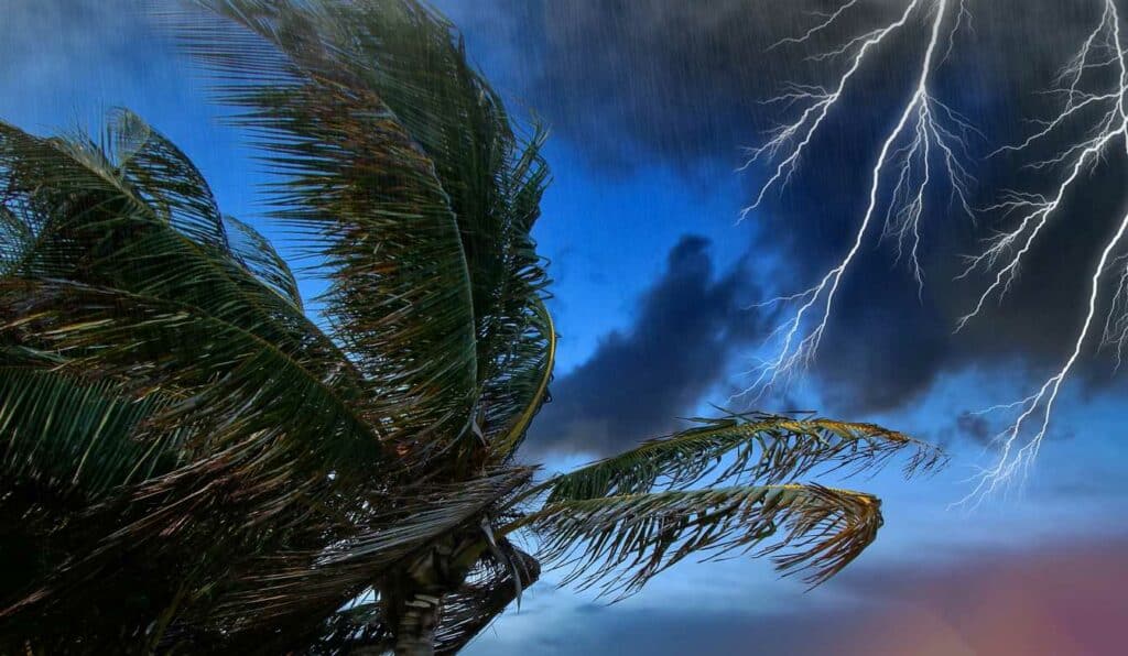 Weathering Hurricane Milton: Steps Toward Recovery After the Storm