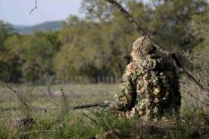 A Guide to Texas Hunting Seasons