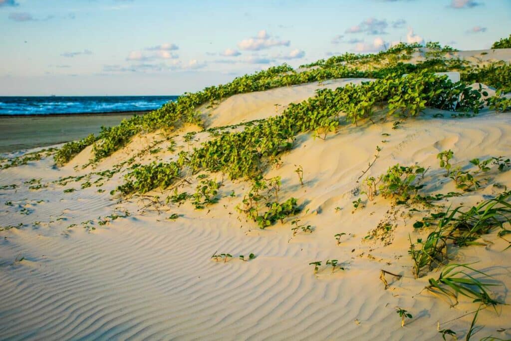 Beach Escape: Texas Gulf Coast RV Camping