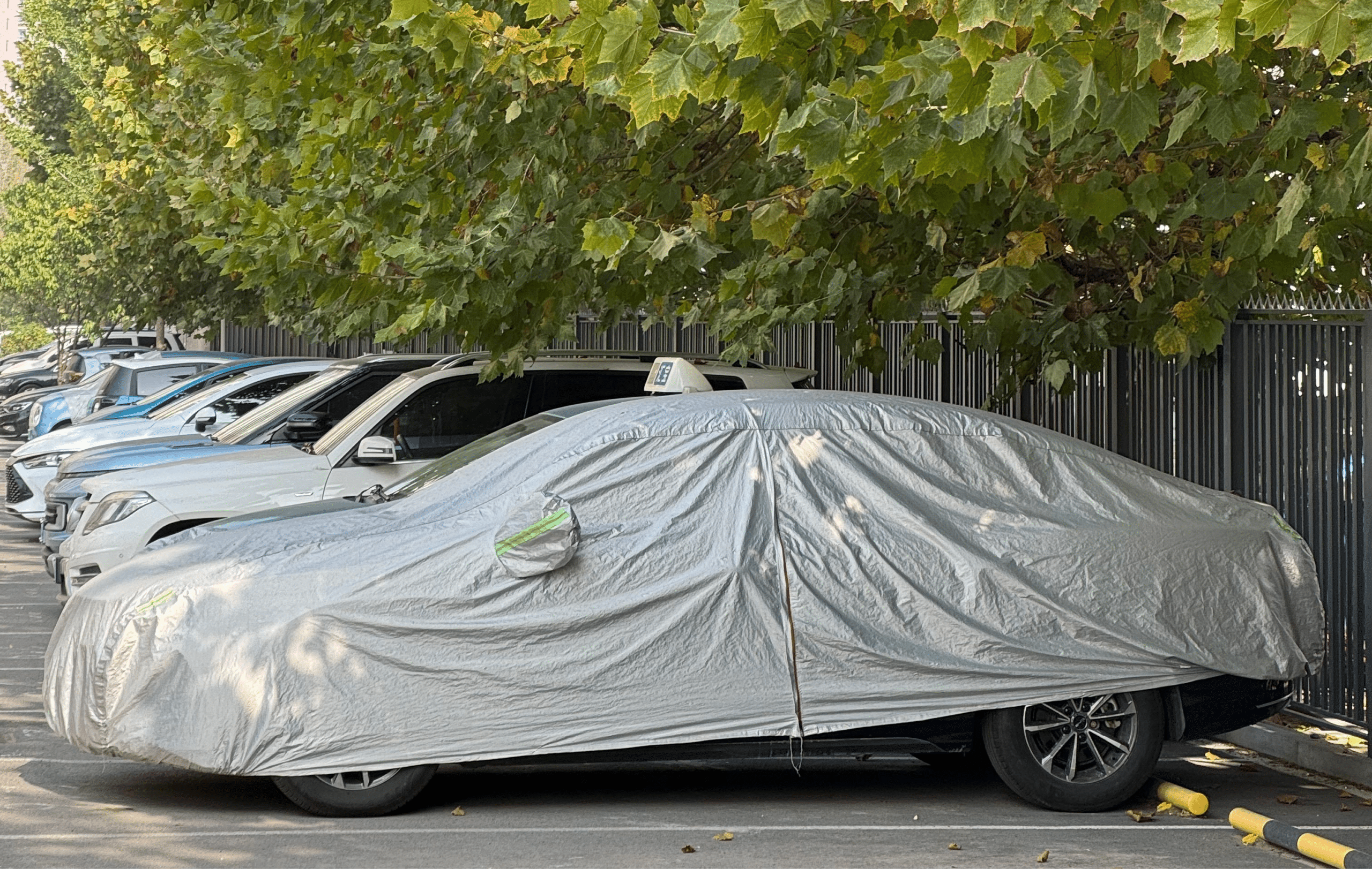 Should You Put a Car Cover on for Storage?