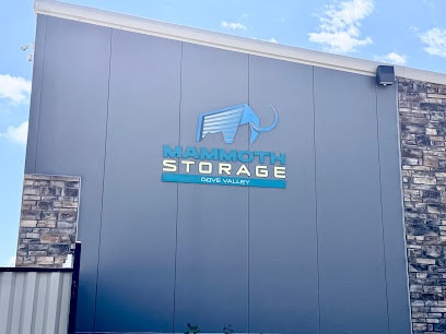 Mammoth Storage
